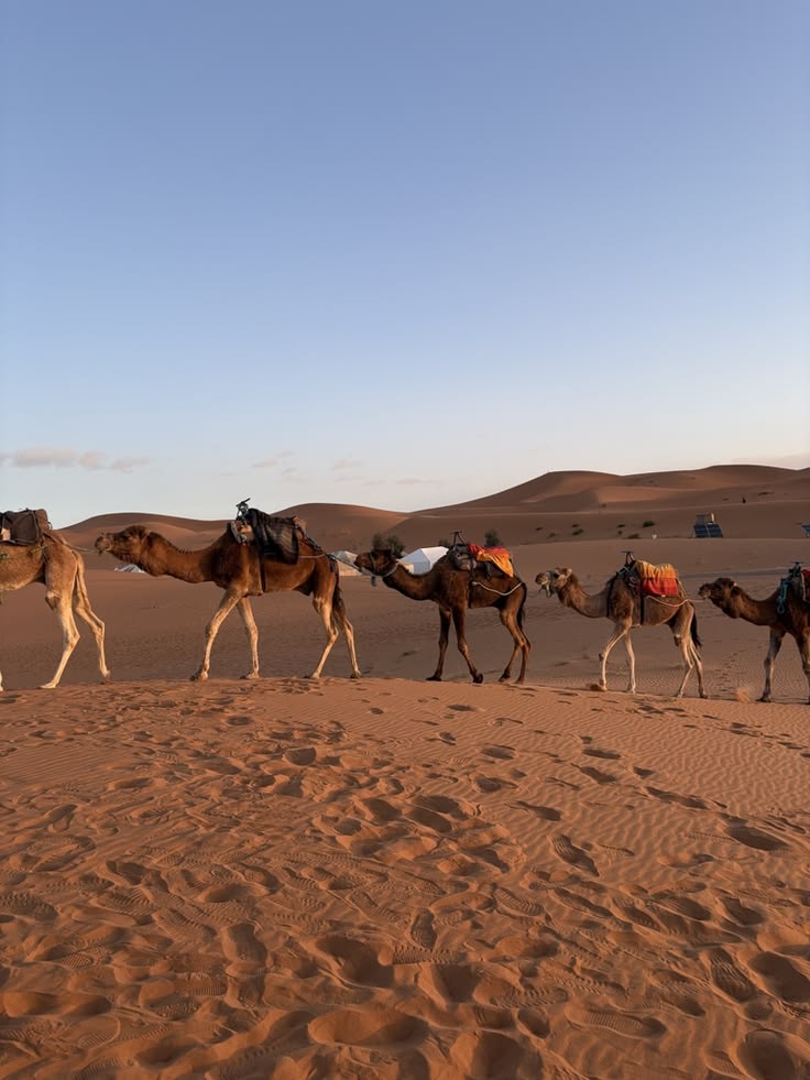 Merzouga Sahara Desert Morocco